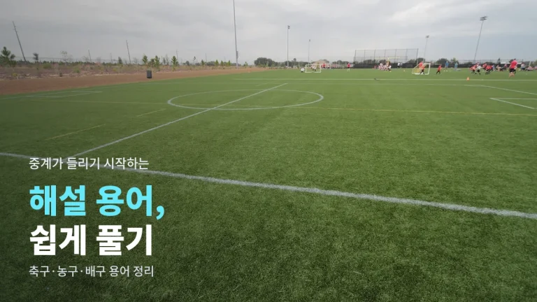 해설위원이 자주 쓰는 말 - 하프스페이스, 오버래핑, 픽앤롤, 트랜지션 뜻 풀이